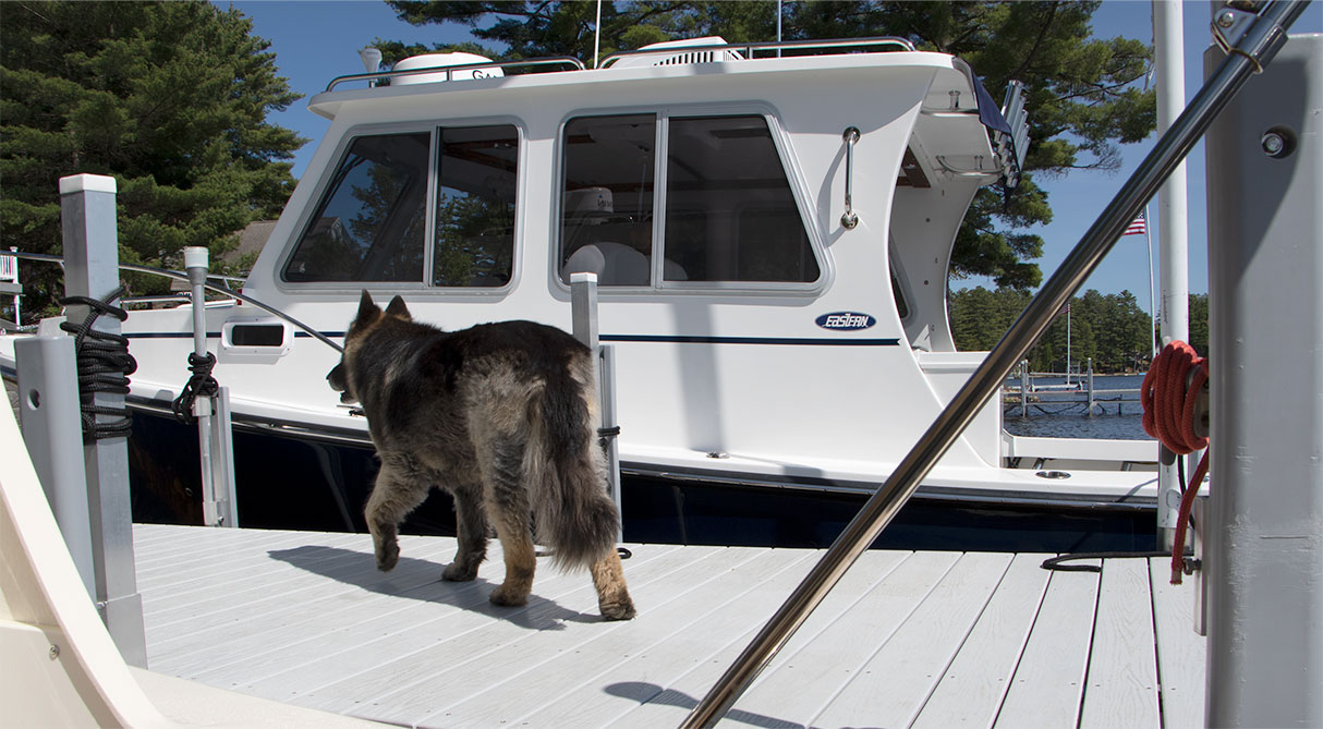 Aquatic 27 Tournament Edition